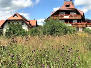 hotel zartenbach bandb