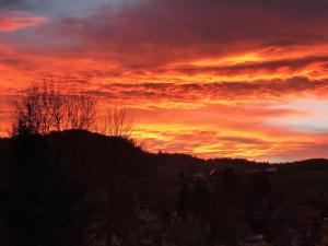 hotel zartenbach bandb