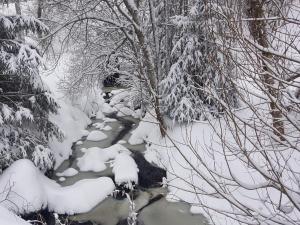 hotel zartenbach bandb