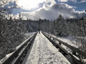 hotel zartenbach bandb