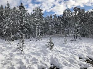 hotel zartenbach bandb