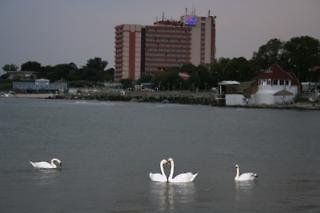 City-Image