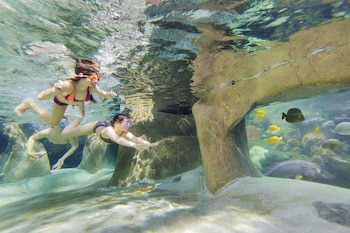 center parcs de vossemeren