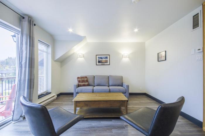 saint michel des saints