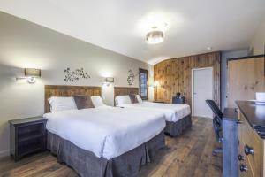 saint michel des saints