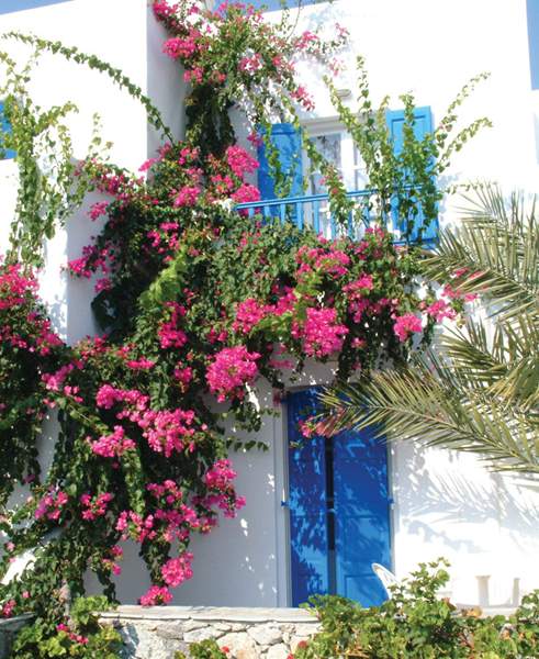 anemos studios and apartments