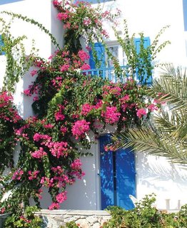 anemos studios and apartments