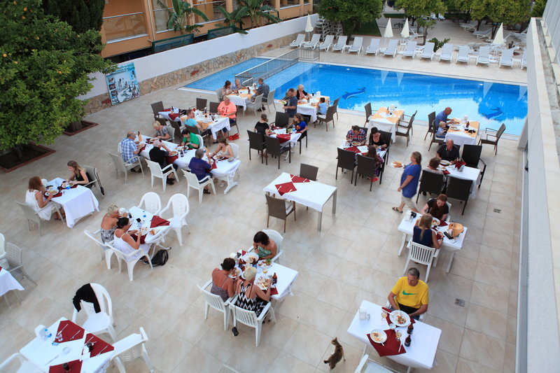 hotel catty cats garden