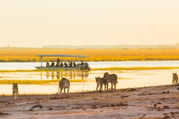Chobe Safari Lodge,Impalila Island>>Chobe,4 star