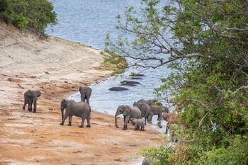 Chobe Safari Lodge,Impalila Island>>Chobe,4 star