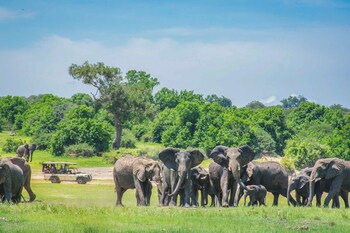Chobe Safari Lodge,Impalila Island>>Chobe,4 star