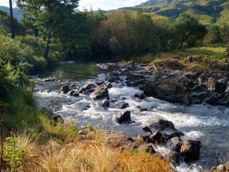 premier resort sani pass