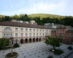 bad wildbad