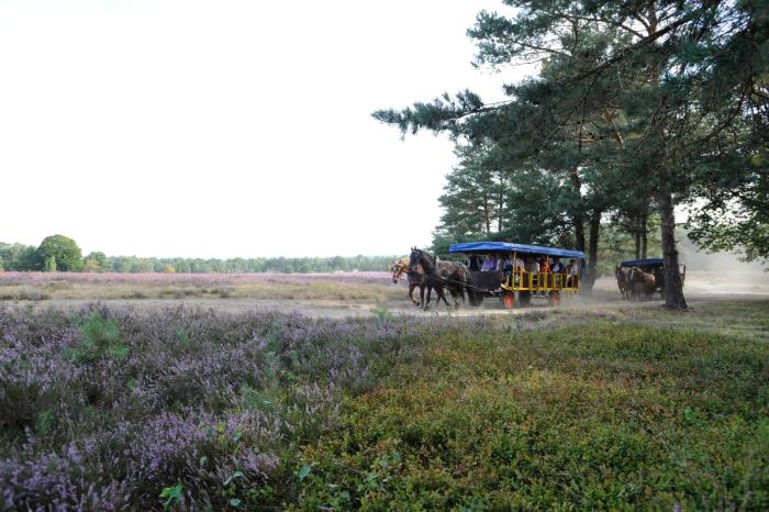 eurostrand resort luneburger heide