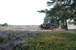 eurostrand resort luneburger heide