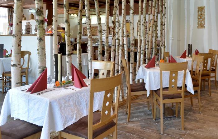 garni hotel alpin scheffau