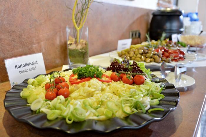garni hotel alpin scheffau