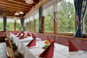 garni hotel alpin scheffau