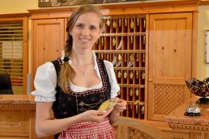 garni hotel alpin scheffau