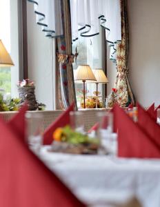 garni hotel alpin scheffau
