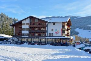 garni hotel alpin scheffau