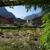 alpenrose hotel and gardens