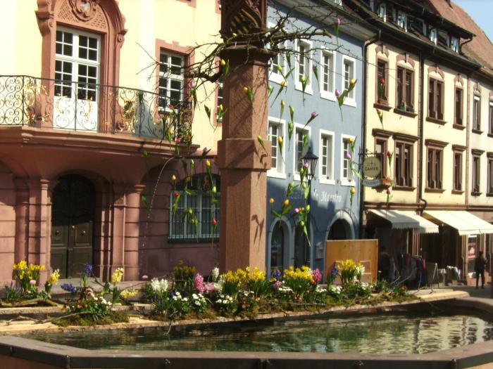 hotel pfauen