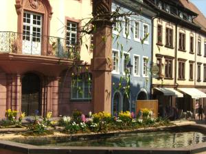 hotel pfauen
