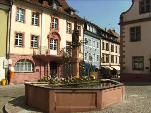 hotel pfauen