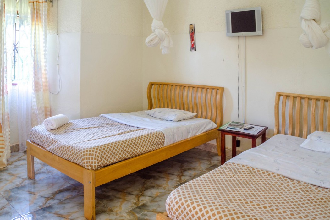 gorilla african guest house
