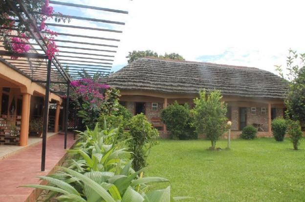 gorilla african guest house
