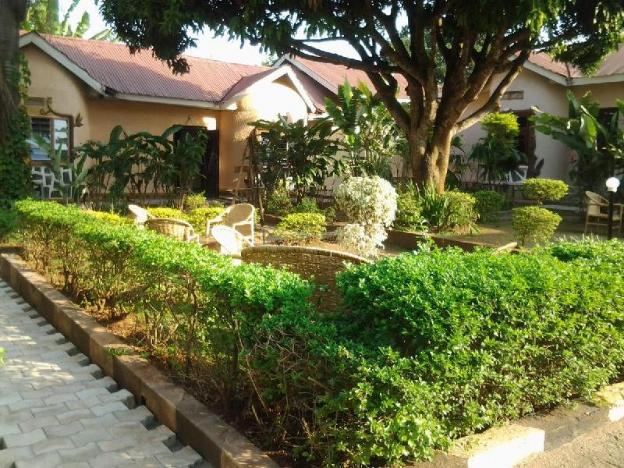 gorilla african guest house