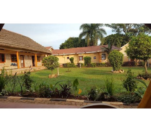 gorilla african guest house