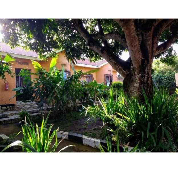 gorilla african guest house