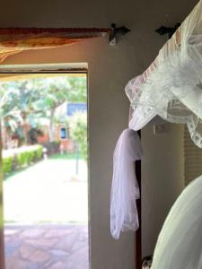 gorilla african guest house