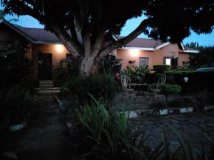 gorilla african guest house