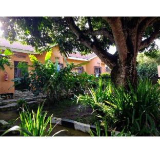gorilla african guest house