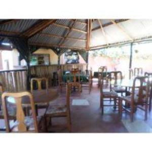 gorilla african guest house