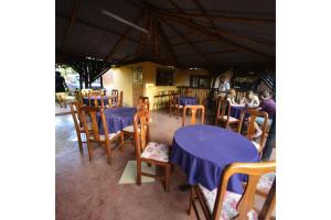 gorilla african guest house