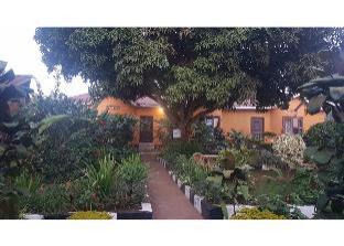gorilla african guest house