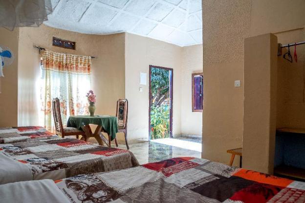 gorilla african guest house