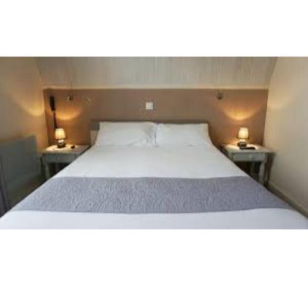 gorilla african guest house