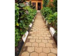 gorilla african guest house