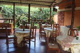 gorilla african guest house