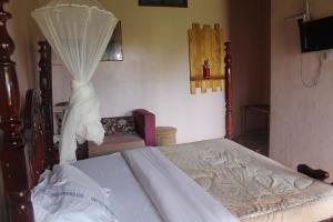 gorilla african guest house