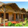 gorilla african guest house