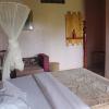 gorilla african guest house
