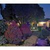 gorilla african guest house