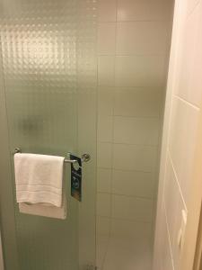 ibis sao paulo barra funda