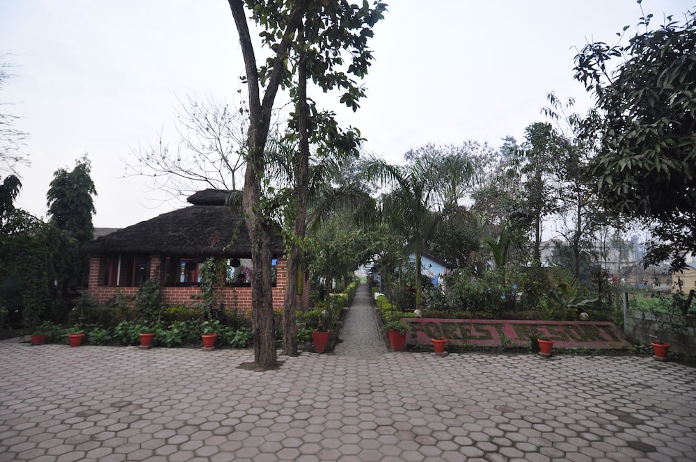 sauraha